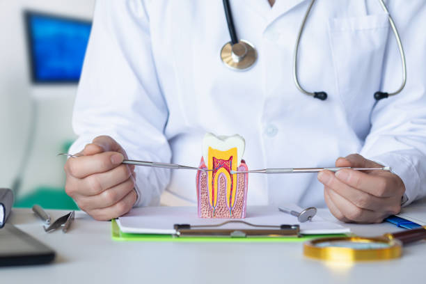 Best Emergency Treatment for Oral Infections in Temple City, CA